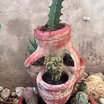 Garden Больцано