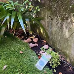 Apartment Garden Bozen