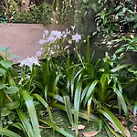 アパート Garden