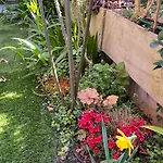 Апартаменти Garden
