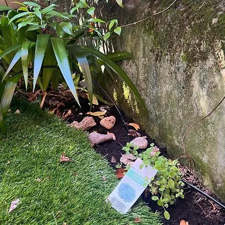 Apartment Garden Bolzano