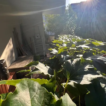 Apartment Garden *