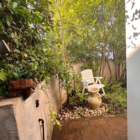 Garden *