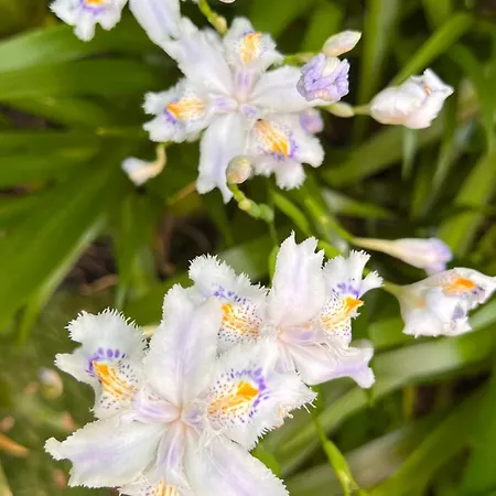 Garden * Больцано