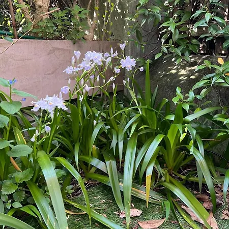 Apartment Garden