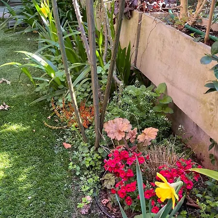 Apartment Garden