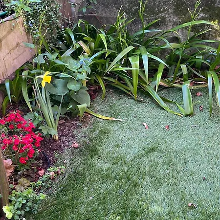 Garden * Bolzano