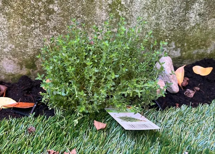 Garden Апартаменты