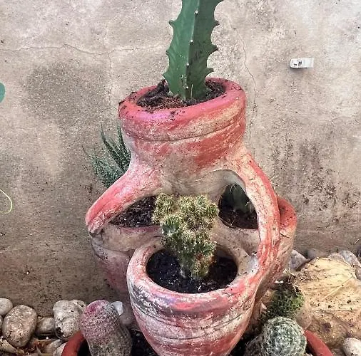 Garden Больцано