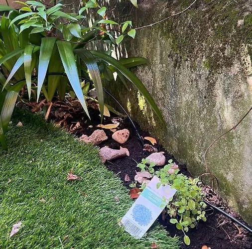 Апартаменты Garden Больцано