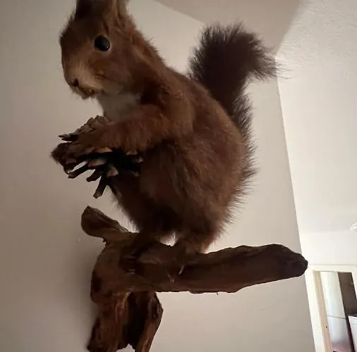 Garden Апартаменты