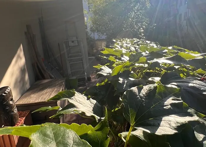 Апартаменты Garden *