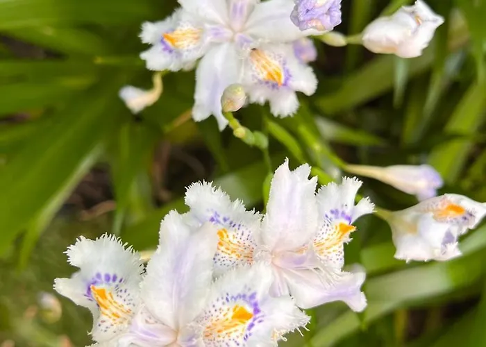 Garden * 博尔扎诺