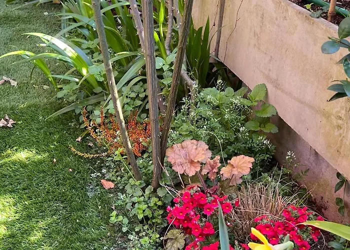 Апартаменты Garden