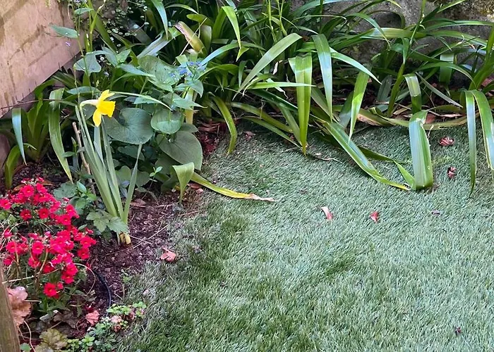 Garden * Больцано